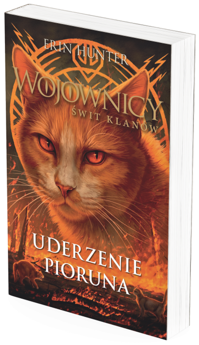 uderzenie_wizualka_książki.png