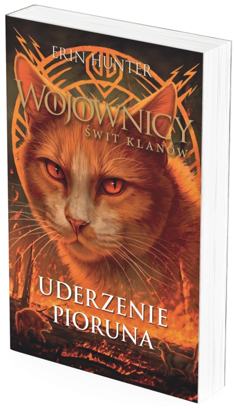 uderzenie_wizualka_książki.png