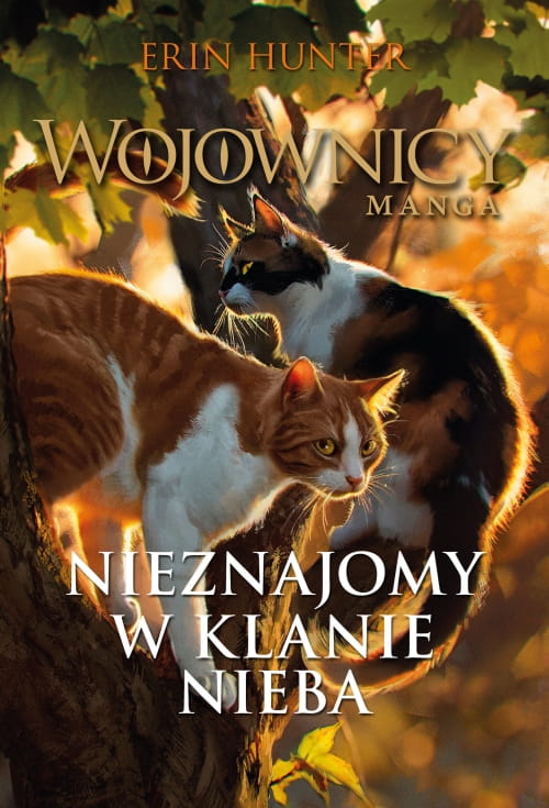 Nieznajomy_w_Klanie_Nieba_OKLADKA_500.jpg