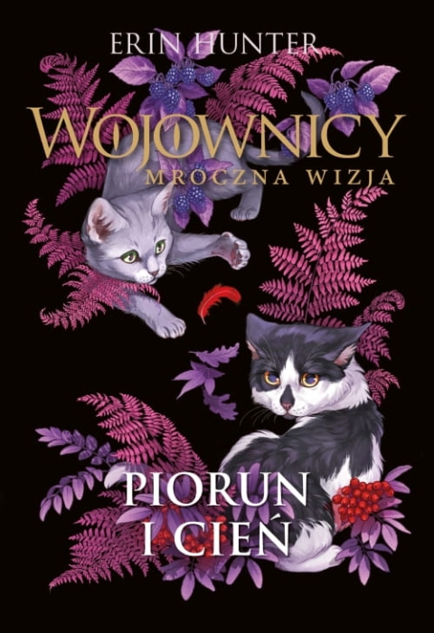 Piorun i cień 500.jpg