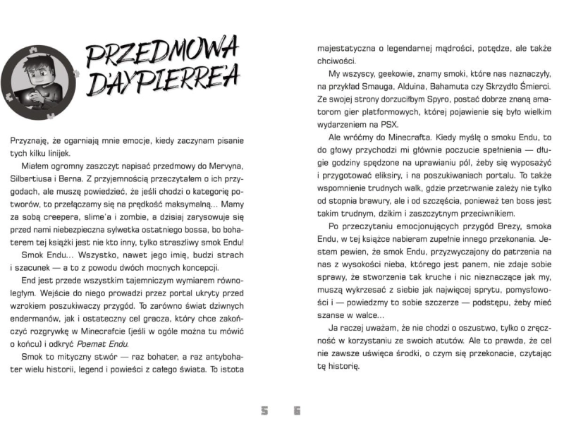 Pamiętnik Smoka Endu_fragment1.jpg