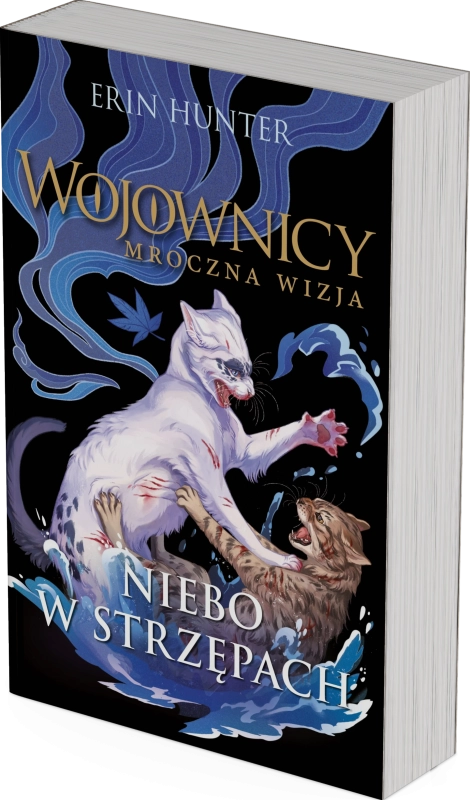 Książka norma.png