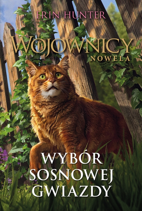 Wybor_Sosnowej_Gwiazdy_FRONT_1500px.jpg