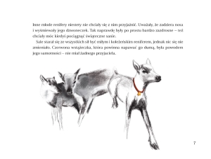 Fragment3.jpg
