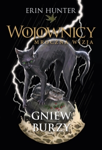 Gniew_burzy_OKLADKA_front.jpg