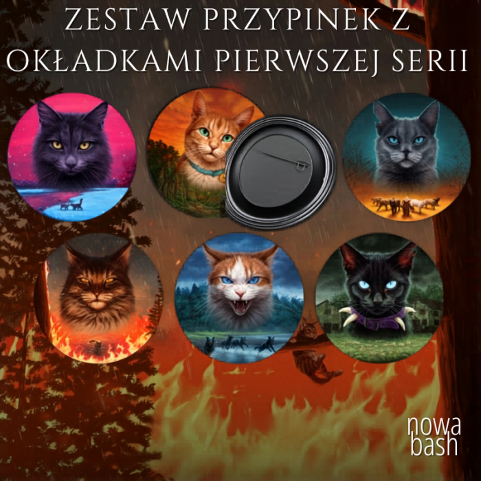 Zestaw przypinek z okładkami pierwszej serii.png