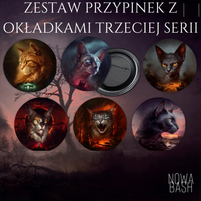 Zestaw przypinek z okładkami trzeciej serii.png