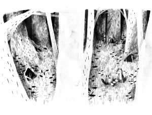 PAX_fragment4.jpg