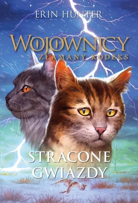 Stracone gwiazdy front.jpg